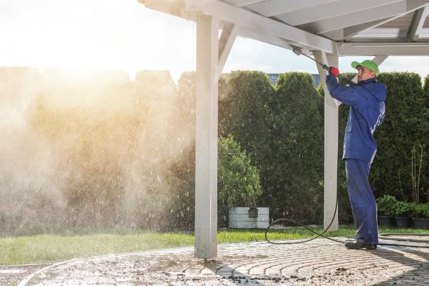Best Window and Screen Pressure Cleaning in Woodstock, VA