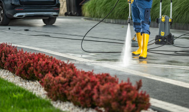 Best Soft Washing for Delicate Surfaces in Woodstock, VA